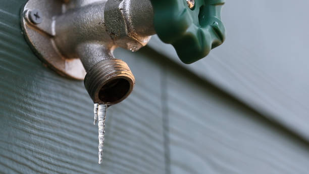 Best Plumbing Inspection Services  in Sartell, MN